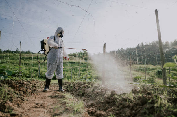 Best Local Pest Control Services  in Platteville, WI