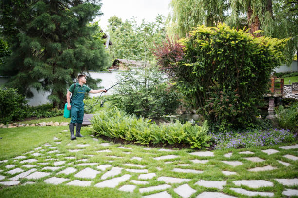 Best Ant Control Services  in Platteville, WI