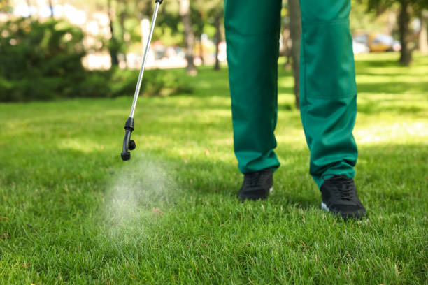 Best Affordable Pest Control Services  in Platteville, WI