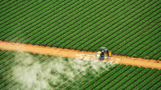 Best Pest Removal Services  in Platteville, WI