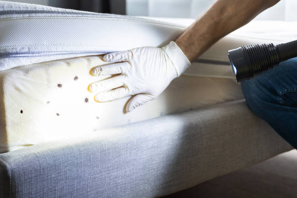 Best Best Pest Control Near Me  in Platteville, WI