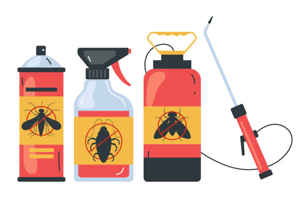 Best Spider Control Near Me  in Platteville, WI