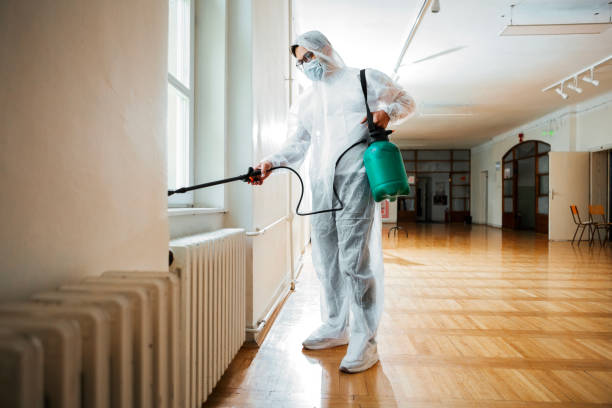 Best Pest Control Near Me in Platteville, WI