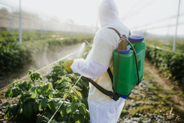 Best Termite Control Services  in Platteville, WI